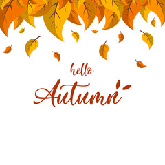 Fototapeta na wymiar Cartoon autumn leaves. Hello Autumn lettering on the white background, vector illustration.