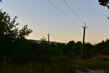 power lines in the morning