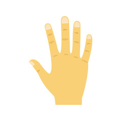 Hand people icon vector illustration isolated on white. Asian arm symbol. Yellow skin hand sign.