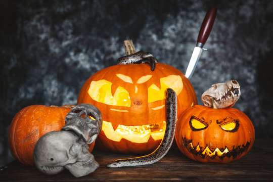 Happy Halloween. Snakes with pumpkins on a table.