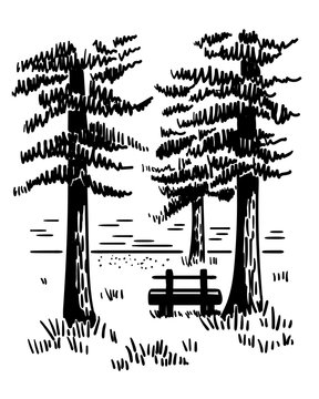 Hand drawn vector landscape with pines, lake and wooden bench. Monochrome sketch.