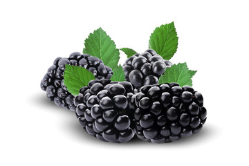 Fresh ripe blackberries with green leaves on white background