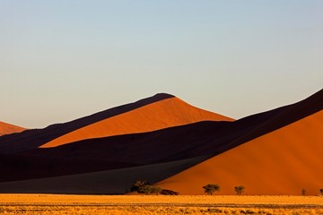 Fototapeta na wymiar Namib Desert, Namib Naukluft Park, Sossusvlei Dunes in Namibia