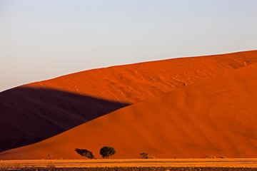 Naklejka na ściany i meble Namib Desert, Namib Naukluft Park, Sossusvlei Dunes in Namibia