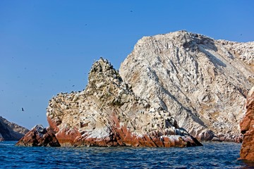 Ballestas Islands, Paracas National Park in Peru