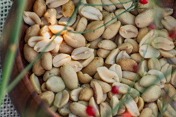 Fried salted peanuts in a beautiful wooden plate, through a thin green twig with red berries. Bean nuts for snacks