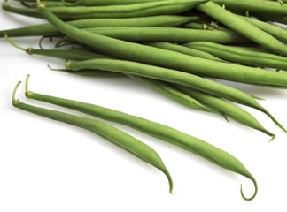 Green Beans or French Beans, phaseolus vulgaris, Vegetable against White Background