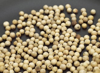 White Peppercorn, piper nigrum, Berries against Gray Background