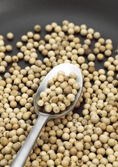 White Peppercorn, piper nigrum, Berries in a Spoon