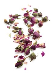 Rose, Rosa sp., Dry Rosebud against White Background