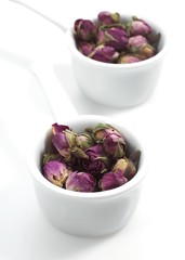 Rose, Rosa sp., Dry Rosebud against White Background
