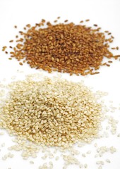 Natural Sesame and Gold Coloured Sesam, sesamum indicum, Seeds against White Background