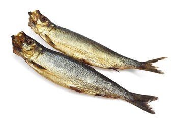 Smoked Herring or Bouffi Bloaster, clupea harengus, Smoked Fishes against White Background