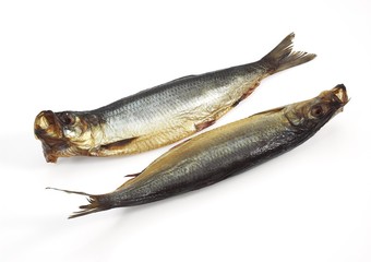 Smoked Herring or Bouffi Bloaster, clupea harengus, Smoked Fishes against White Background