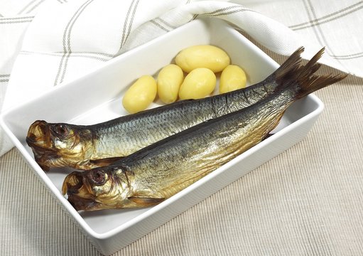 Smoked Herring or Bouffi Bloaster, clupea harengus, Smoked Fishes with Potatoes