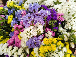 Variety of limonium sinuatum or kermek flowers in violet, blue, white, yellow, pink colors. Close-up bouquet of colourful flowers statice in the garden shop. Kermek blooming flowers, background.