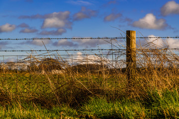 barbed wire fence