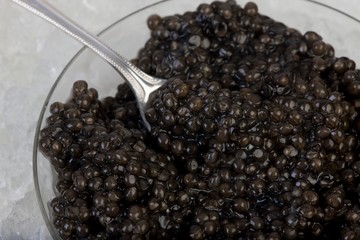 Fototapeta na wymiar Caviar, Sturgeon's Eggs