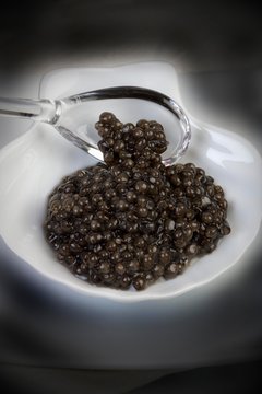 Caviar, Sturgeon's Eggs