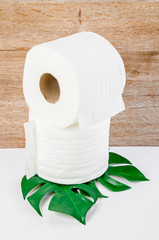 Tissue paper rolls and green leaves.
