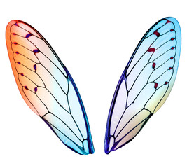 Illustration of an cut our single wing of a moth as close-up with fine ramifications, structures and iridescent colors.