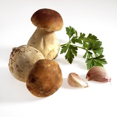 Cep or Penny Bun or King Bolete, boletus edulis, Mushrooms, Garlic and Parsley against White Background