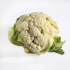 White Cauliflower, brassica oleracea, Vegetable against White Background