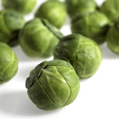 Brussels Sprouts, brassica oleracea, Vegetables against White Background