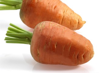 Carrot, daucus carota, Vegetable against White Background