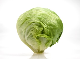 Brussels Sprouts, brassica oleracea, Vegetables against White Background