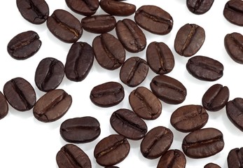 Coffee Beans against White Background
