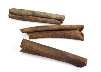 Chinese Cinnamon or Cassia Cinnamon, cinnamomum aromaticum