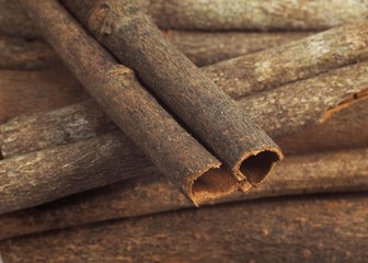 Chinese Cinnamon or Cassia Cinnamon, cinnamomum aromaticum