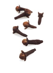 Cloves, eugenia caryophyllata, Aromatic Spice against White Background