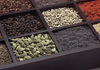 Box with many Spices