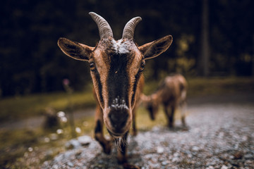 Ich hab Dich im Auge