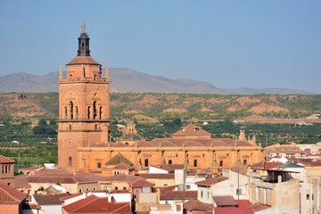 Fototapeta na wymiar Vista de la catedral de la Encarnación de Guadix, Granada