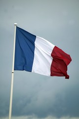 French Flag in the Wind