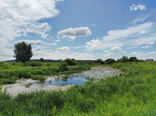 swampy area among a green field against a blue sky with clouds on a sunny day
