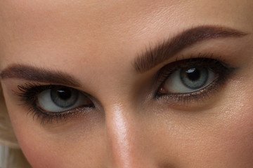 Fototapeta premium Elegance close-up female eye with dark brown eyeshadow. Macro shot of part of the face of a beautiful woman. Wellness, cosmetics and makeup. smooth beautiful eyebrows and eyelashes