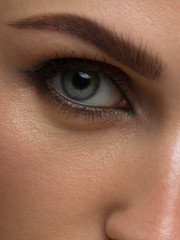 Obraz premium Closeup female eyes with bright make-up, great shapes brows, extreme long eyelashes. Celebrate makeup, luxury eyeshadows. Macro of beautiful eye. Good vision