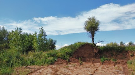 panoramic scene with a tree near a ravine against the backdrop of a beautiful blue sky