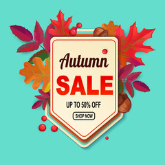 Obraz premium Autumn sale 50% off web banner with falling leaves. Isolated Vector illustration.
