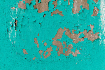 Green peeling paint on a wall