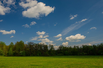 Deciduous forest and green meadow against the blue sky.