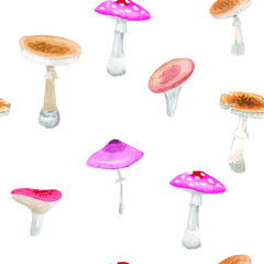 Mushrooms. Hand drawn watercolor painting on white background. Vector pattern - 370975890