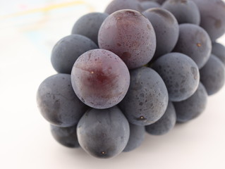 Grapes on white background