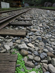 the rail with different plants and ballast in Alishan background for traveling
