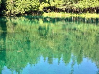 lake in the forest