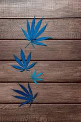 Hemp or cannabis leaf isolated on wooden background. Alternative medicine. Vegetarian food concept. Natural product concept. Blue color filter.